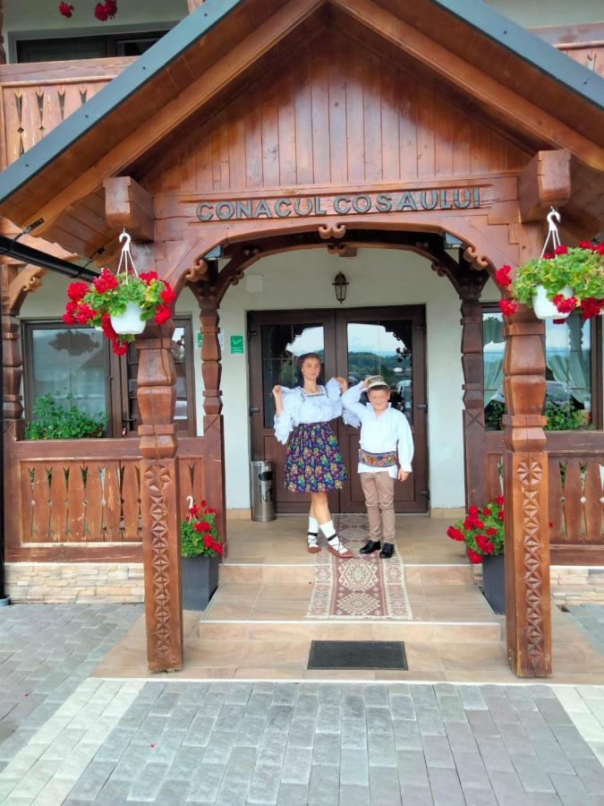Conacul Cosăului Hotel Feresti Exterior foto